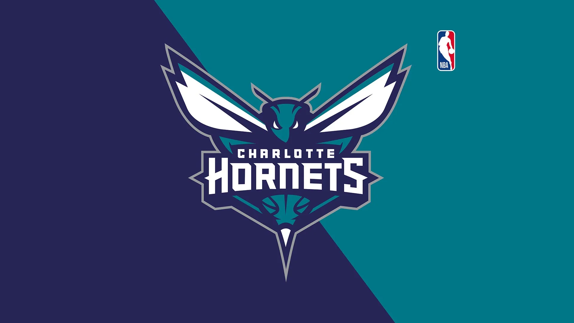 Charlotte Hornets identity artwork